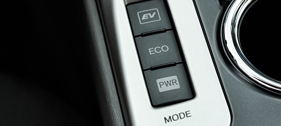 Fuel Cell Electric