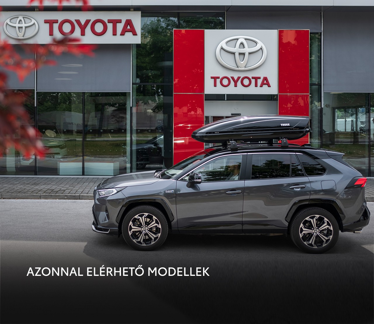 Toyota RAV4 Plug-in